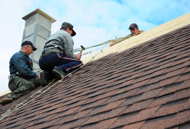 Best Roof Gutter Cleaning  in Island Park, NY